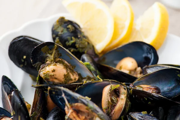 Mussels on a plate — Stock Photo, Image