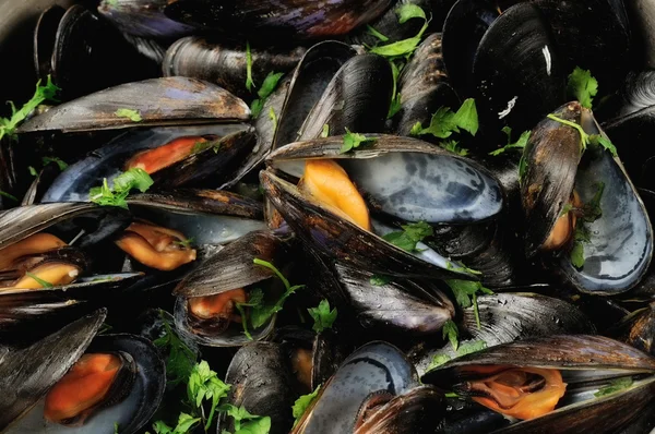 Plato de mejillones —  Fotos de Stock