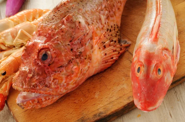 Snapper, gurnard and prawns — Stock Photo, Image