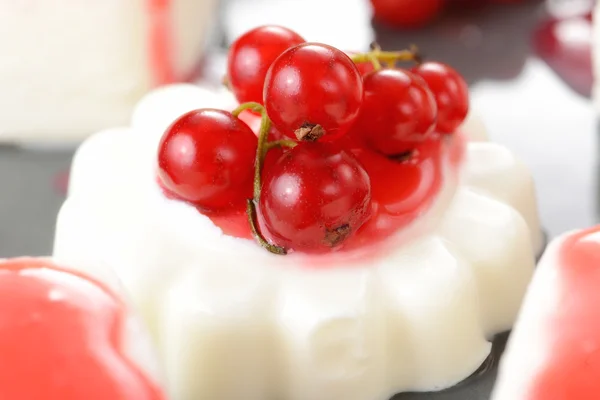 Panna cotta with redcurrant — Stock Photo, Image