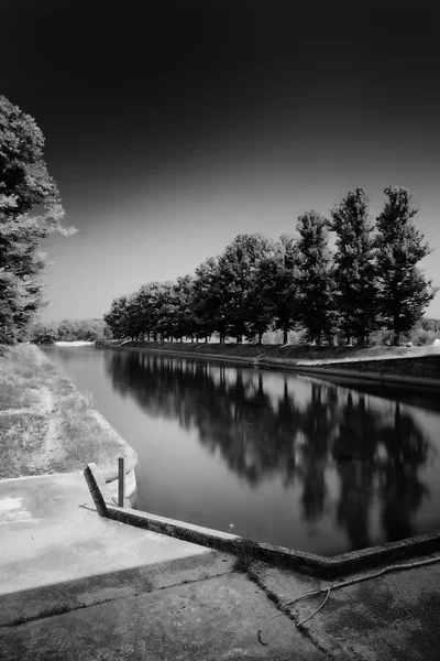 Alberi e fiume in una giornata nuvolosa — Foto Stock