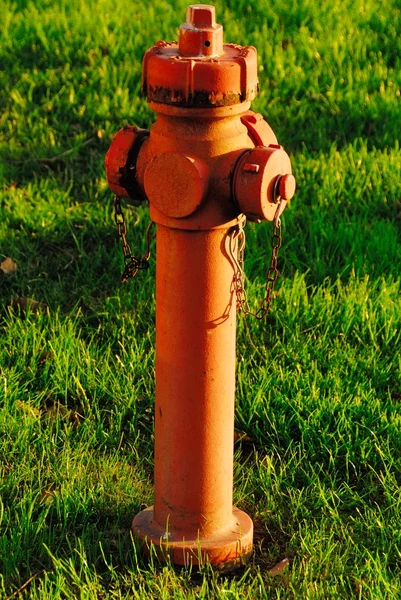 Hidrante rojo en el prado —  Fotos de Stock