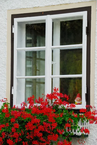 Ventana con flores rojas — Foto de Stock