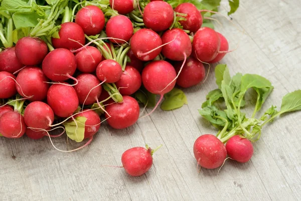 Rábanos rojos — Foto de Stock