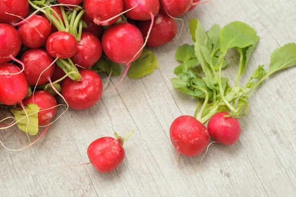 Red radishes — Stock Photo, Image