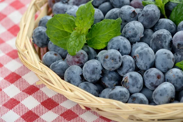 Blueberry kosár — Stock Fotó