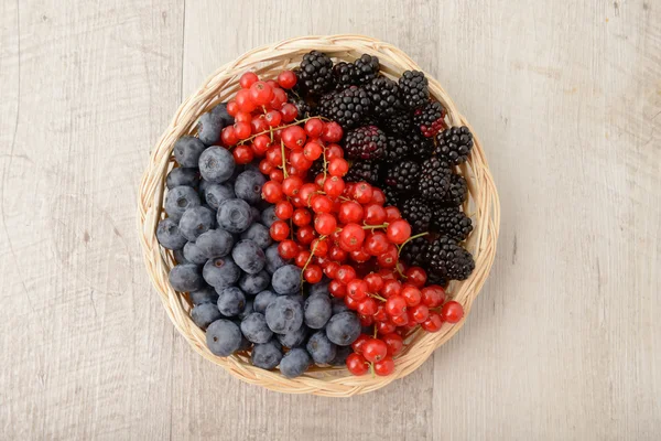 Blueberries, currants and blackberries basket — Stock Photo, Image