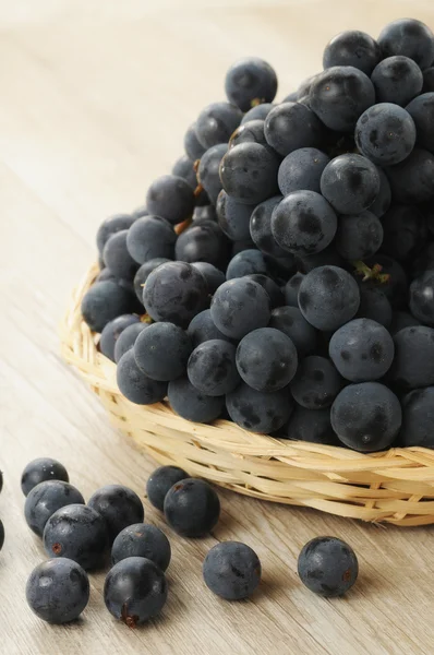 Schwarze Trauben — Stockfoto