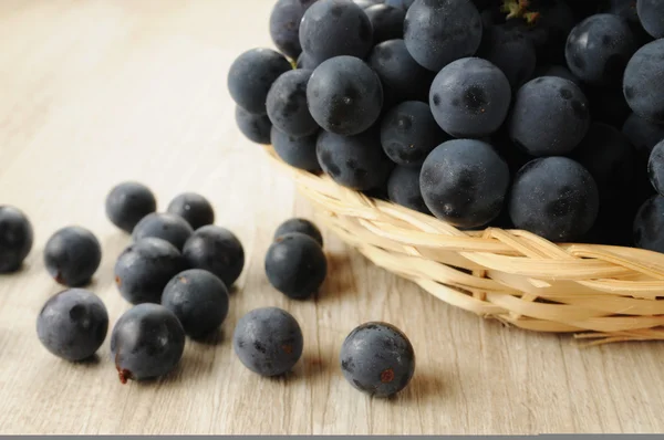 Kiście winogron czarny — Zdjęcie stockowe