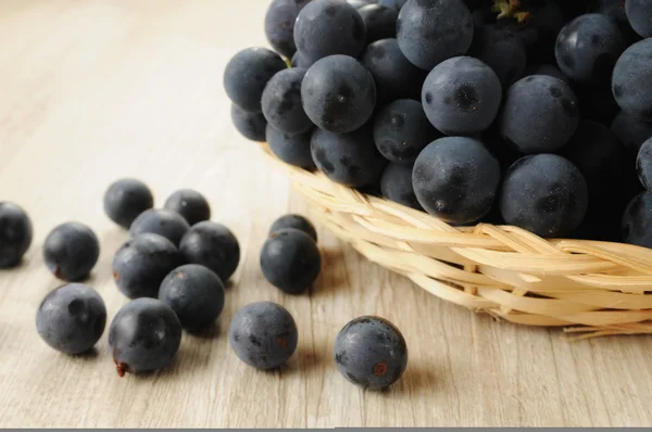 Bunches of black grapes — Stock Photo, Image