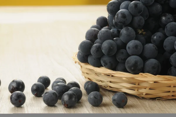 Bunches of black grapes — Stock Photo, Image