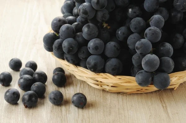 Bunches of black grapes — Stock Photo, Image