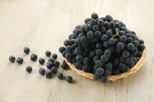 Bunches of black grapes — Stock Photo, Image