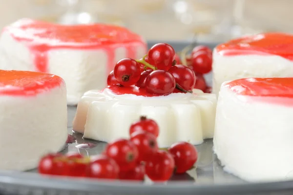 Panna cotta krema ile — Stok fotoğraf