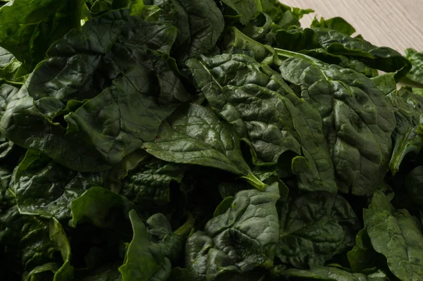 Spinach leaves — Stock Photo, Image