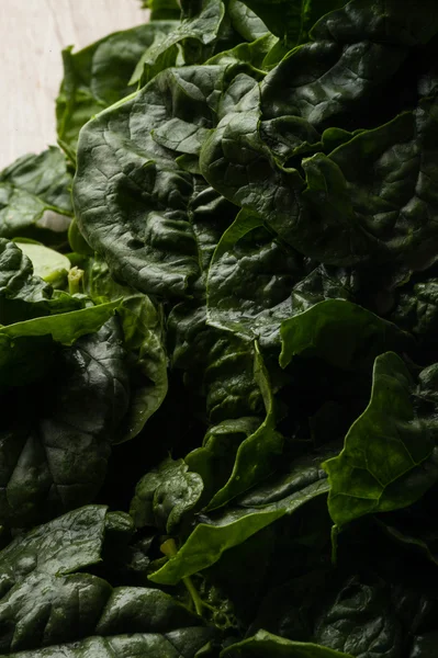 Spinach leaves — Stock Photo, Image