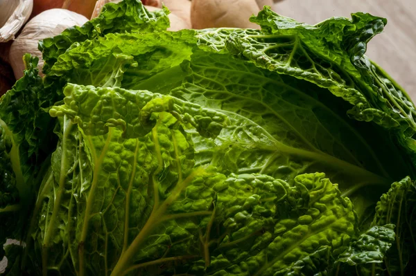 Green cabbage — Stock Photo, Image