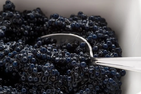 Pequeña porción de caviar negro — Foto de Stock