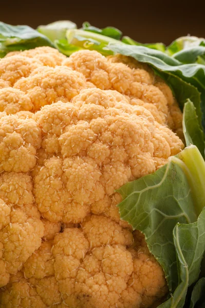 Fresh orange Cauliflower — Stock Photo, Image