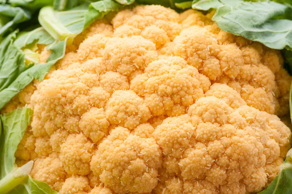 Fresh orange Cauliflower — Stock Photo, Image