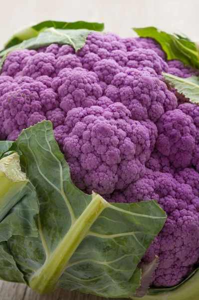 Fresh purple Cauliflower — Stock Photo, Image