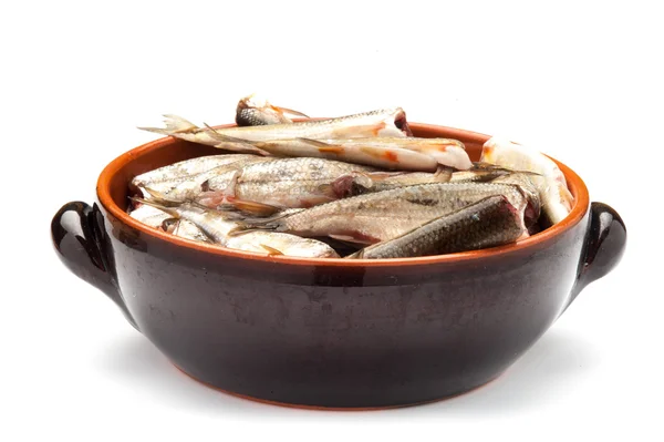 Pescado crudo en un tazón — Foto de Stock