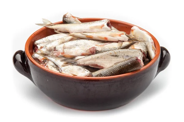 Raw fish in a bowl — Stock Photo, Image