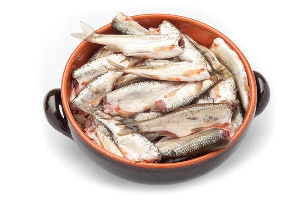 Raw fish in a bowl — Stock Photo, Image