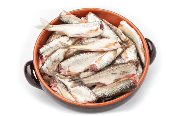 Rauwe vis in een kom — Stockfoto