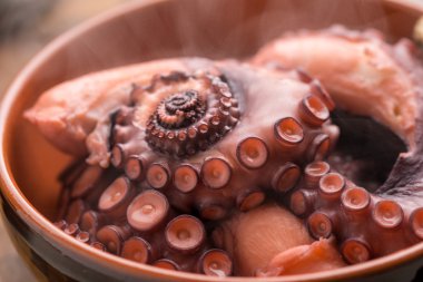 Sıcak duman ile haşlanmış ahtapot