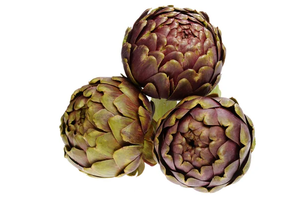 Fresh green artichokes — Stock Photo, Image