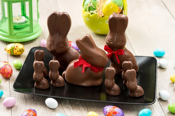 Chocolate Easter bunnies — Stock Photo, Image