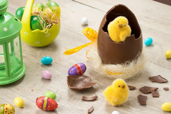 Easter chicks and chocolate eggs — Stock Photo, Image