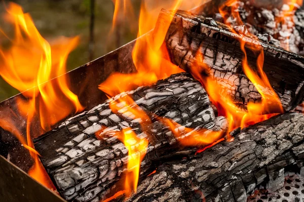 Burning wood in a brazier — Stock Photo, Image