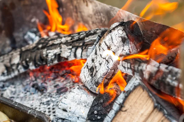 Burning wood in a brazier — Stock Photo, Image