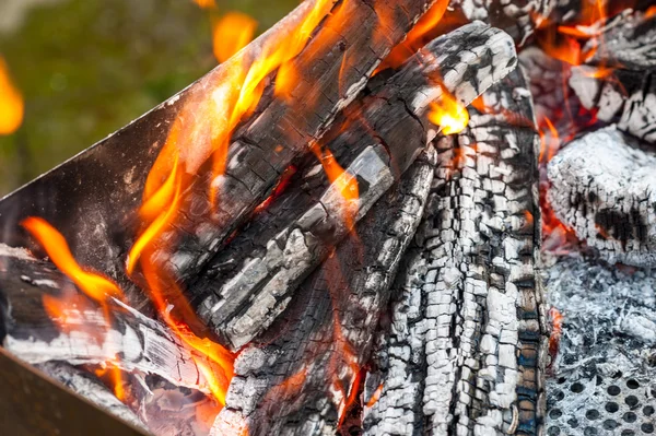 Burning wood in a brazier — Stock Photo, Image