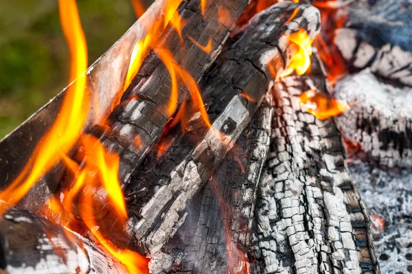 Burning wood in a brazier — Stock Photo, Image