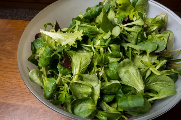 Ensalada apetitosa en tazón — Foto de Stock