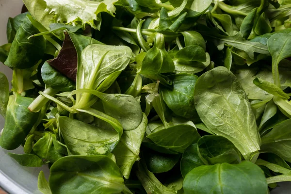 Appetizing salad in bowl — Stock Photo, Image