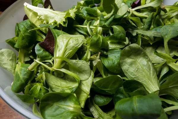 Ensalada apetitosa en tazón — Foto de Stock