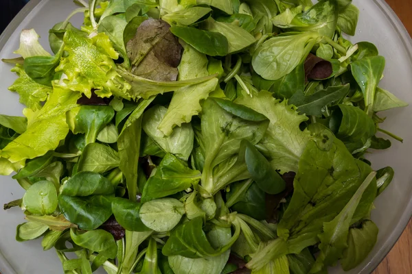 Ensalada apetitosa en tazón — Foto de Stock