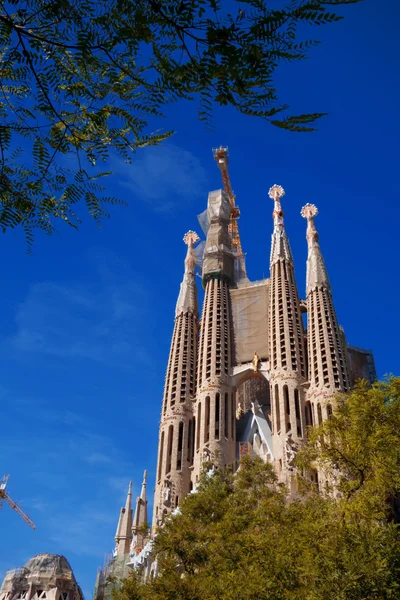 La Sagrada Familia in barcelona — Stockfoto