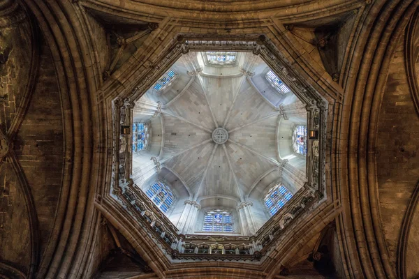 Plafond à la cathédrale de Barcelone — Photo