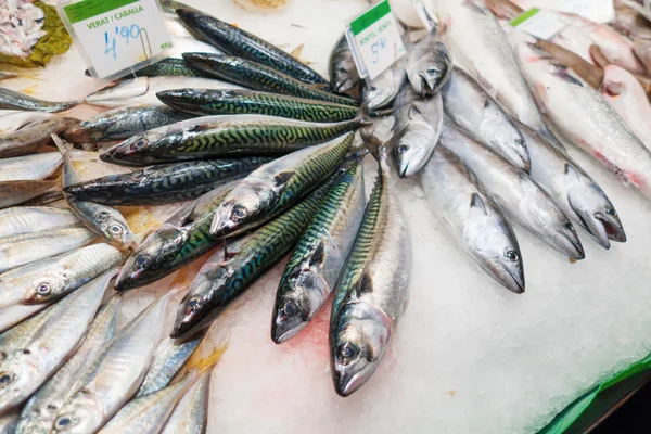 Mercado de pescado fresco — Foto de Stock