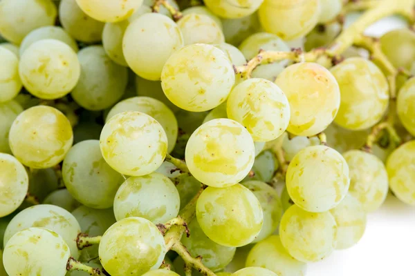 Bunches of white grapes — Stock Photo, Image