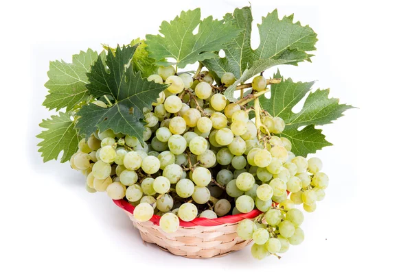 Wicker basket with grapes — Stock Photo, Image