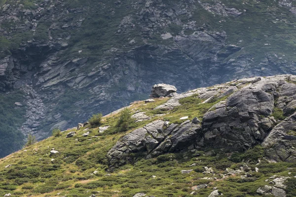 Prachtig uitzicht op de bergen — Stockfoto