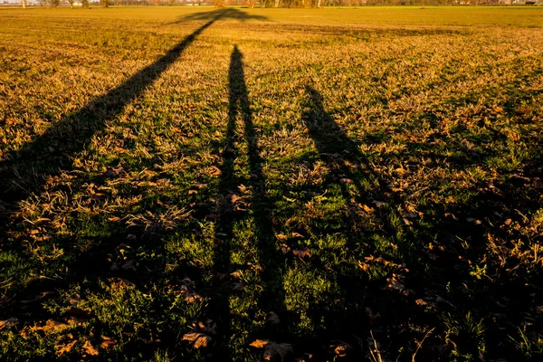 Mensen op een verharde oprit in een park — Stockfoto