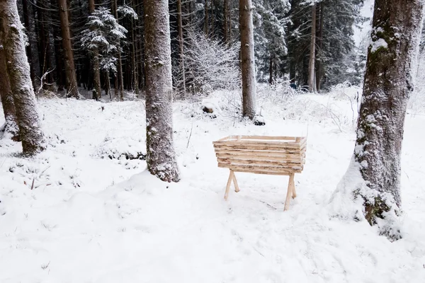 Árboles cubiertos de nieve —  Fotos de Stock