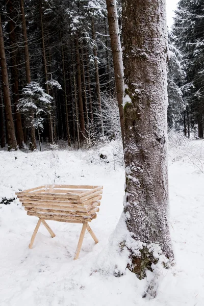 Neve coberto de árvores — Fotografia de Stock